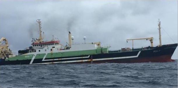 Dolphins and seals killed by controversial trawler